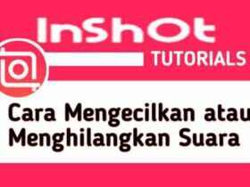 cara-menghilangkan-suara-video-di-inshot