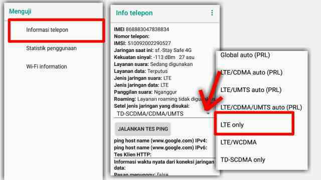 Cara Mengunci Jaringan 4G di HP VIVO menggunakan kode rahasi