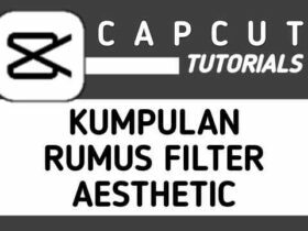 Rumus Filter CapCut