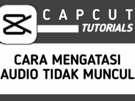 Cara Mengatasi Tidak Bisa Memasukkan Audio di CapCut