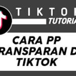 PP TikTok Transparan