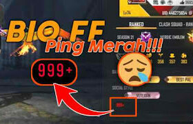 Kode Bio FF 999+ Sinyal