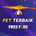 pet-ff-terbaik