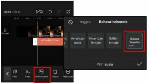 cara-membuat-suara-google-di-capcut