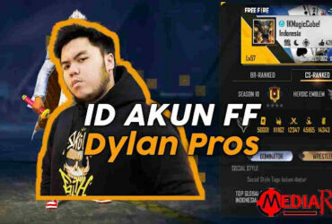 ID FF Dyland Pros