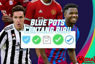 Blue Pots PES centang biru pes
