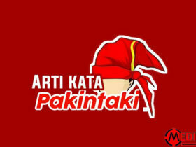 Arti pakintaki