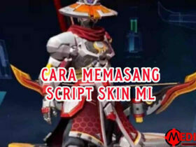 Cara Pasang Script Skin ML