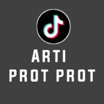 arti-prot-prot