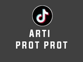 arti-prot-prot