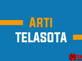 arti-telasota