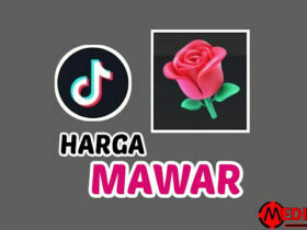 1 Mawar TikTok Berapa Rupiah