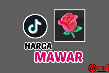 1 Mawar TikTok Berapa Rupiah