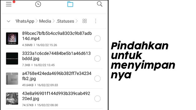 Cara Download Story WA di HP Xiaomi Tanpa Aplikasi