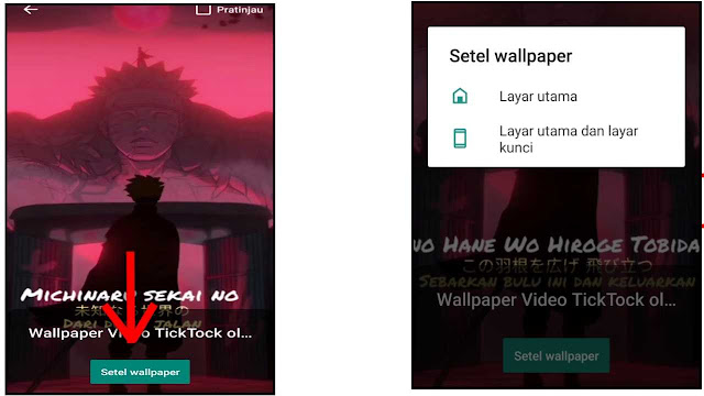 Wallpaper Video TikTok
