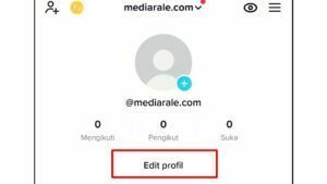 Nama TikTok Kosong