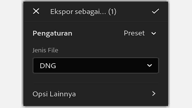 Cara Menyimpan Preset Lightroom di HP Agar Bisa Dibagikan