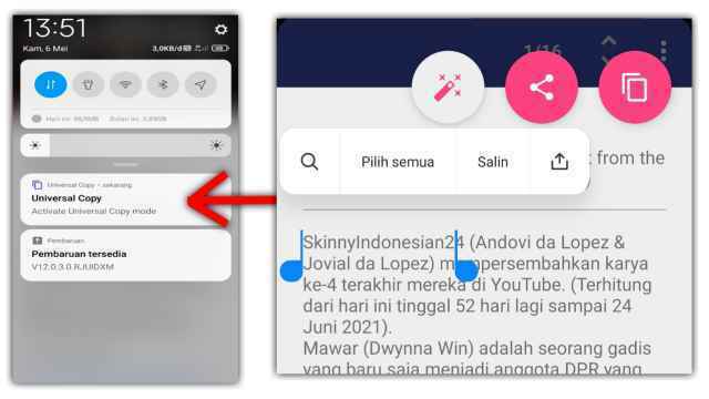 Cara Salin Teks dari Aplikasi