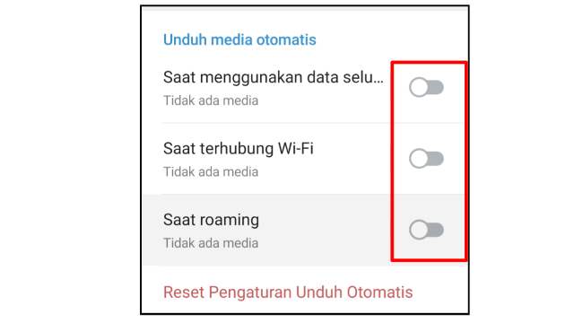 Cara Mematikan Unduh Otomatis di Telegram