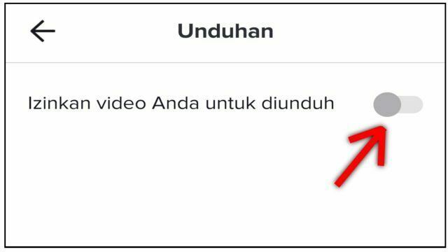 Cara Agar Video TikTok Tidak Bisa Didownload Orang Lain