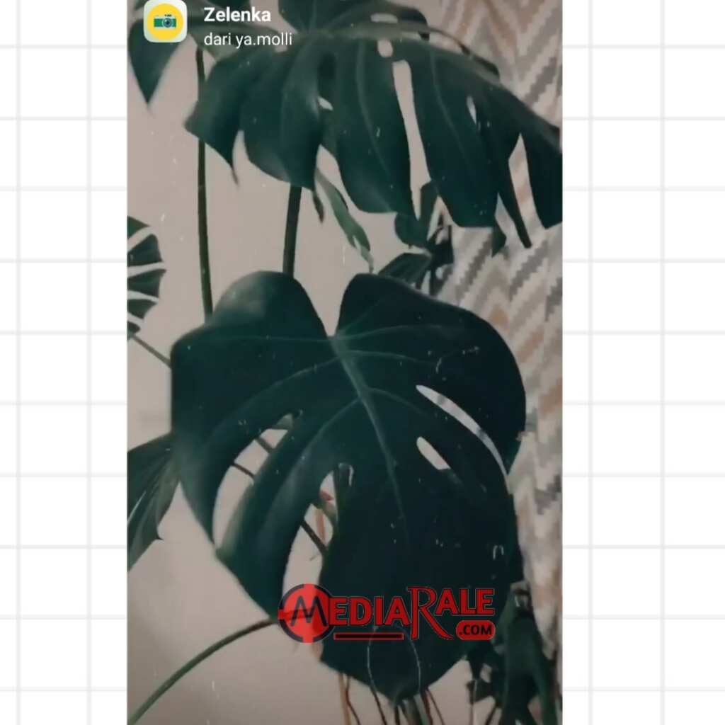 filter ig aesthetic gelap