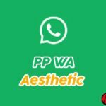 pp-wa-aesthetic