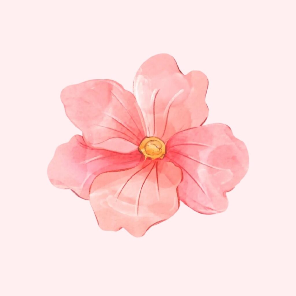 Sampul Sorotan IG Pink