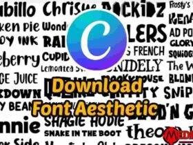 font canva aesthetic