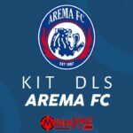 Kit DLS Arema