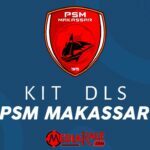 Kit DLS PSM