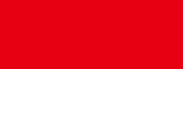 logo dls indonesia