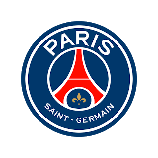 Logo PSG DLS